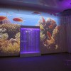 Проекционный дизайн "Виртуальная реальность" базовый комплект 500 анимаций - «globural.ru» - Ивантеевка
