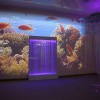 Проекционный дизайн "Виртуальная реальность" безлимитный комплект 1200 анимаций - «globural.ru» - Ивантеевка