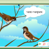 Интерактивное развивающее пособие "Говорящие картинки. Слушаем и повторяем" - «globural.ru» - Ивантеевка