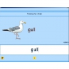 Английский язык. Освоение клавиатуры - «globural.ru» - Ивантеевка