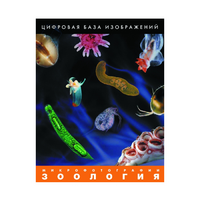 Зоология. Микрофотографии. (Цифровая база изображений) - «globural.ru» - Ивантеевка