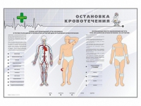 Электрифицированный стенд "Остановка кровотечения" - «globural.ru» - Ивантеевка