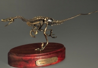 Модель скелета динозавра Velociraptor - «globural.ru» - Ивантеевка