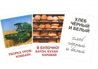 Раздаточные карточки "Хлеб всему голова" - «globural.ru» - Ивантеевка