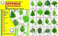 Демонстрационные карточки "Деревья и кустарники" - «globural.ru» - Ивантеевка