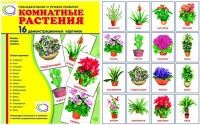 Демонстрационные карточки "Комнатные растения" - «globural.ru» - Ивантеевка