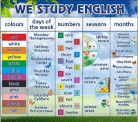 Стенд "We study english" - «globural.ru» - Ивантеевка