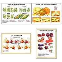 Плакаты ПРОФТЕХ "Ассортимент овощных культур" (12 пл, винил, 70х100) - «globural.ru» - Ивантеевка