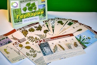 Гербарий к курсу основ общей биологии - «globural.ru» - Ивантеевка