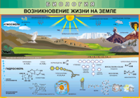Таблица Возникновение жизни на Земле 1000*1400 винил - «globural.ru» - Ивантеевка