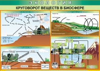 Таблица Круговорот веществ в биосфере 1000*700 винил - «globural.ru» - Ивантеевка