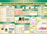 Таблица Биотические взаимоотношения организмов 1000*700 (винил) - «globural.ru» - Ивантеевка