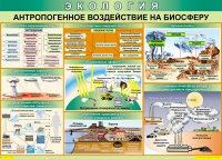 Таблица Антропогенное воздействие на биосферу 1000*700 винил - «globural.ru» - Ивантеевка