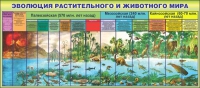 Стенд "Эволюция растительного и животного мира" - «globural.ru» - Ивантеевка