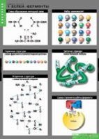 Биология. Химия клетки (комплект таблиц) - «globural.ru» - Ивантеевка