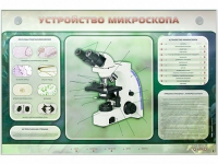Электрифицированный стенд "Устройство микроскопа и правила работы c ним" - «globural.ru» - Ивантеевка