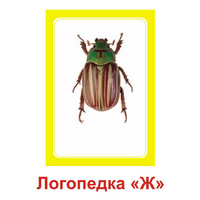 Логопедка "Ж" (логопедические карточки) - «globural.ru» - Ивантеевка