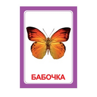 Логопедка "Ч" (логопедические карточки) - «globural.ru» - Ивантеевка