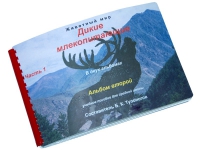 Пособие для слабовидящих "Дикие млекопитающие" - «globural.ru» - Ивантеевка