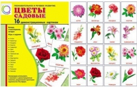 Демонстрационные карточки "Цветы садовые" - «globural.ru» - Ивантеевка