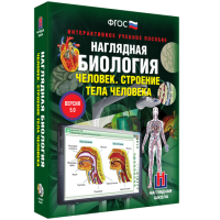 Наглядная биология. Человек. Строение тела человека - «globural.ru» - Ивантеевка