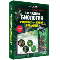 Наглядная биология. Растение - живой организм - «globural.ru» - Ивантеевка
