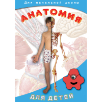 DVD  Анатомия для детей - «globural.ru» - Ивантеевка