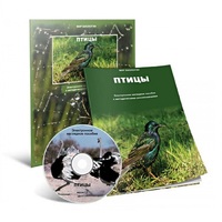 Электронное наглядное пособие «Птицы» - «globural.ru» - Ивантеевка