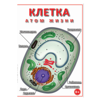 DVD Клетка - "атом жизни" - «globural.ru» - Ивантеевка