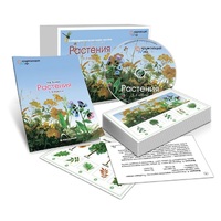 Комбинированное наглядное пособие «Растения» - «globural.ru» - Ивантеевка