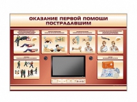 Многофункциональный интерактивный стенд-тренажер "Оказание первой помощи пострадавшим" для учащихся общеобразовательных учреждений - «globural.ru» - Ивантеевка