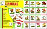 Демонстрационные карточки  "Грибы съедобные и не съедобные" - «globural.ru» - Ивантеевка