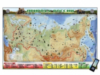 Электронно-информационный (маркерный) стенд "Природа России" адаптивный, с сенсорным пультом управления и планшетом со шрифтом Брайля (география) - «globural.ru» - Ивантеевка