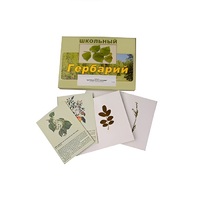 Гербарий "Деревья и кустарники" (22 вида, с иллюстрациями) - «globural.ru» - Ивантеевка