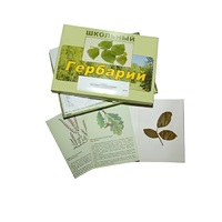 Гербарий "Дикорастущие растения" (30 видов, с иллюстрациями) - «globural.ru» - Ивантеевка