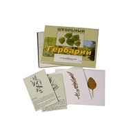 Гербарий "Лекарственные растения" (22 вида, с иллюстрациями) - «globural.ru» - Ивантеевка