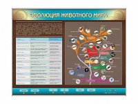 Интерактивный электрифицированный стенд "Эволюция животного мира" - «globural.ru» - Ивантеевка