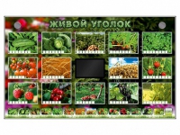 Комплект оборудования "Живой уголок" (растения) - «globural.ru» - Ивантеевка