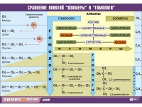 Таблица демонстрационная "Сравнение понятий изомер и гомолог" (винил 100х140) - «globural.ru» - Ивантеевка