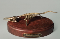 Модель скелета ихтиозавра Ichthyosaurus - «globural.ru» - Ивантеевка