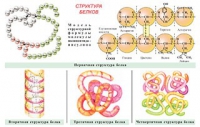 Плакаты и таблицы по общей химии - «globural.ru» - Ивантеевка