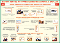  Таблица Общий порядок оказания первой помощи пострадавшим 1000*1400 винил	 - «globural.ru» - Ивантеевка