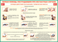 Таблица Порядок действий при ранениях и термических ожогах	 1000*1400 винил - «globural.ru» - Ивантеевка