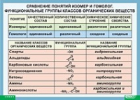 Химия. Сравнение понятий изомер и гомолог. Функциональные группы классов органических веществ (винил) - «globural.ru» - Ивантеевка