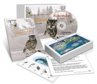 Комбинированное наглядное пособие «Животные» - «globural.ru» - Ивантеевка
