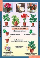 Окружающий мир 1 класс (комплект таблиц) - «globural.ru» - Ивантеевка
