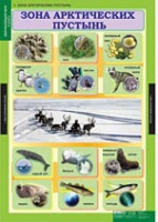 Окружающий мир 4 класс (комплект таблиц) - «globural.ru» - Ивантеевка
