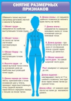 Стенд "Снятие мерок" (вариант 2) - «globural.ru» - Ивантеевка