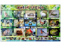 Комплект оборудования "Живой уголок" (животные) с тифлопереводом и сурдокомментариями - «globural.ru» - Ивантеевка