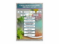Стенд "Схема приготовления мясных котлет" - «globural.ru» - Ивантеевка